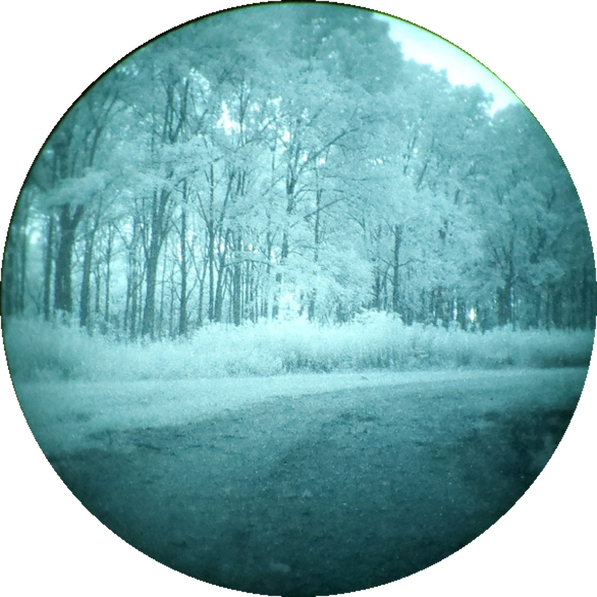 L3HARRIS / ELBIT WHITE PHOSPHOR GEN 3 inside view