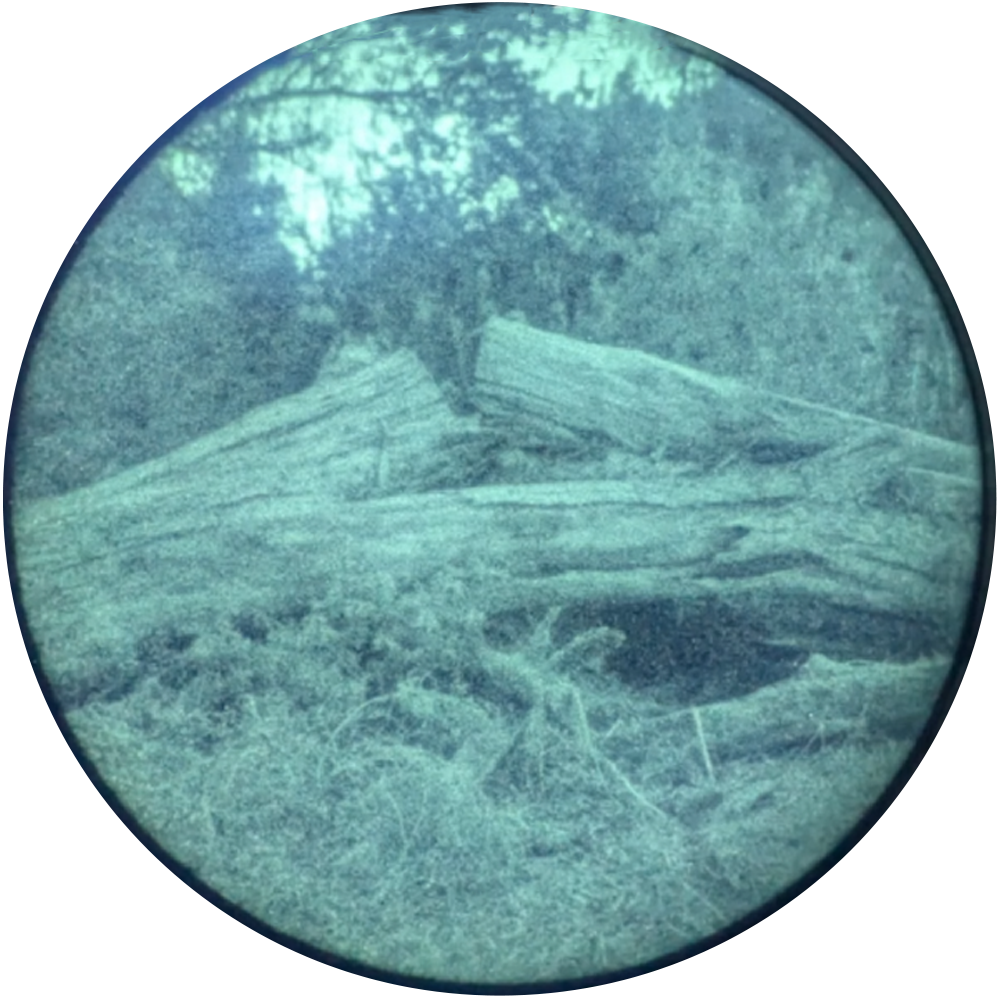 Through-the-tube view of an outdoor scene through the Night Operators Gen 2+ PVS-14