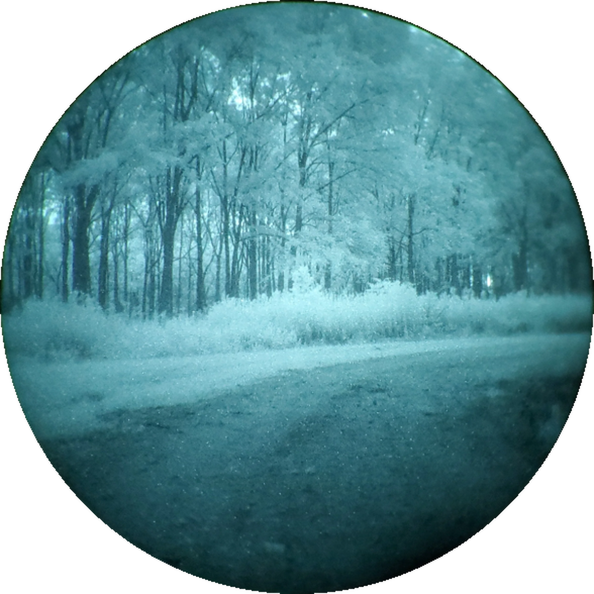 NIGHTHAWK VISION SYSTEMS inside view